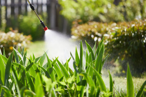 Tamper-Resistant Bait Stations for Rodents in Orlinda