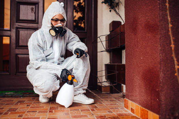 Attic and Crawl Space Rodent Treatment in Orlinda